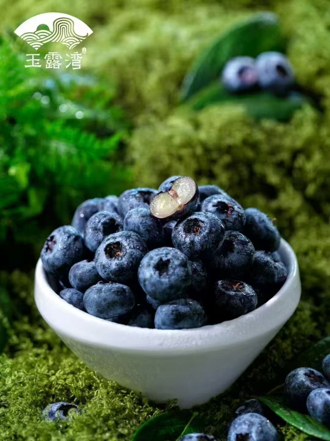 LETOU - 乐投(中文)官方网站
